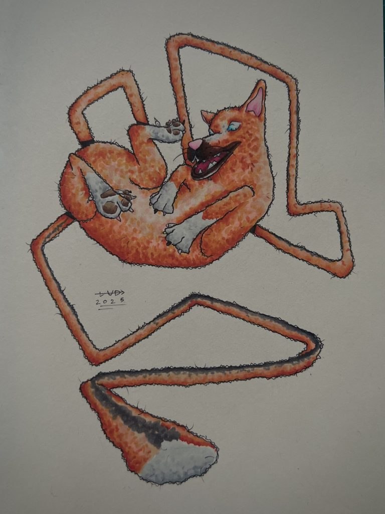 Coiled Fox